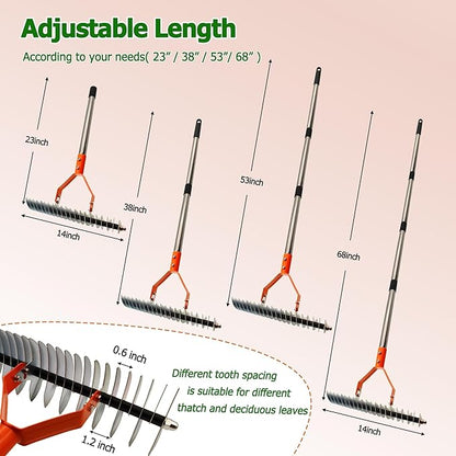 Thatch Rake,14-Inch Lawn Thatching Rake,Reinforced Neck with Heavy Duty Handle, Multi Angle Tine Design for Efficient Dead Grass Removal and Soil Care