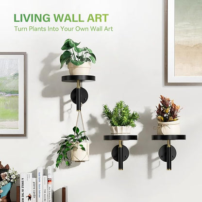 DELLAN Wall Plant Holder, 3 Pack Metal Wall Planters Stand Floating Shelves for Indoor Plants, Window Sill Plant Decor for Bedroom, Bathroom, Living Room, Home, Office, BlackGold