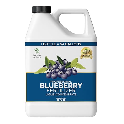 Leaves and Soul Professional Blueberry Fertilizer Liquid Concentrate - 6-4-6 Blend Liquid Garden Fertilizer for Blueberry - Plant Food for Blueberry Bushes and Plants - 32oz