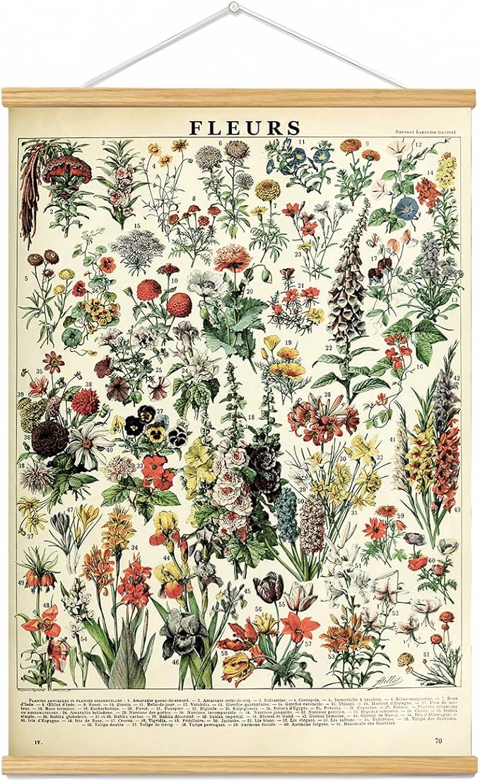 Vintage Flowers Poster Hanger Frame, Plant Floral Reference Chart Wall Decor Cottagecore Room Decor Aesthetic, Retro Style Wall Decor Art Painting Prints. (plant B, 18L x 12W)