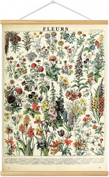 Vintage Flowers Poster Hanger Frame, Plant Floral Reference Chart Wall Decor Cottagecore Room Decor Aesthetic, Retro Style Wall Decor Art Painting Prints. (plant B, 18L x 12W)