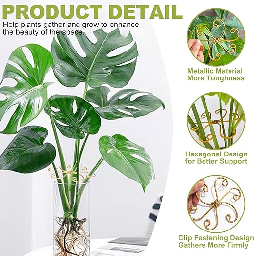Plant Stem Supports for Indoor Plants, 4 Pack Iron Monstera Plant Support, Gold