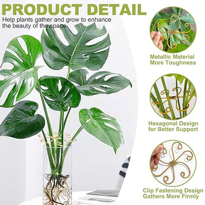Plant Stem Supports for Indoor Plants, 4 Pack Iron Monstera Plant Support, Gold