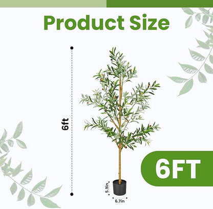 Olive Trees Artificial Indoor, 6FT Tall Faux Olive Tree with Black Pot, Moss, Lifelike Wood Trunk and Fruits,Suitable for for Modern Home Office House Living Room Decor
