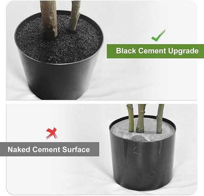 6Ft Dracaena Plant Artificial Tree Fake Tropical Floor Plants Potted (Real Touch) Artificial Silk Tree Leaf Faux Trees Black Tall Planter for Home Office Living Room Indoor Outdoor Decor（1Pack）