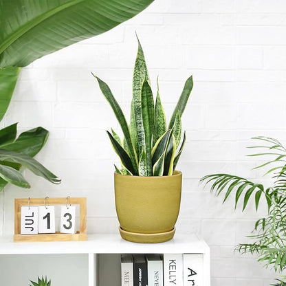 Ceramic Plant Pots 5 Inch + 4 Inch Set of 2, Flower Plants Pot with Drainage Holes and Saucers Tray Planter Garden Pot for Succulent Cactus Home Decoration Gift Indoor Outdoor Green