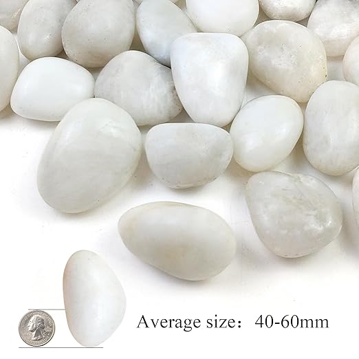 10LB White River Rocks - 2-3 inch High Polished Decorative Pebbles for Landscaping, Outdoor Decor and Plants