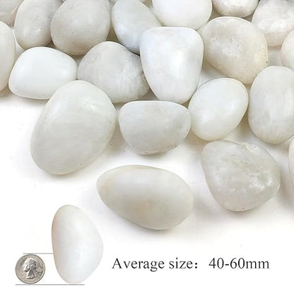 10LB White River Rocks - 2-3 inch High Polished Decorative Pebbles for Landscaping, Outdoor Decor and Plants