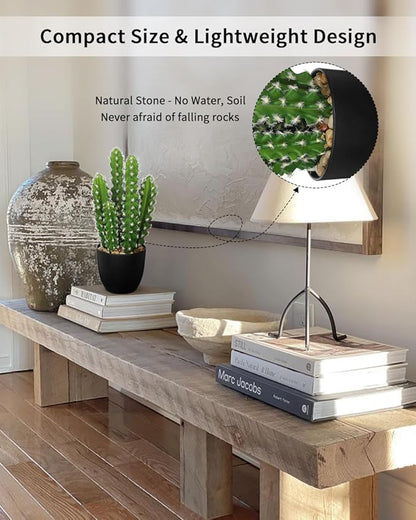 Artificial Cactus Plants 10.8" Small Faux Cactus Plants Indoor Fake Desert Cacti Succulents Plants Artificial Plant Indoor with Pot Cactus Decorations for Home Decor Office Desk Tabletop Shelf