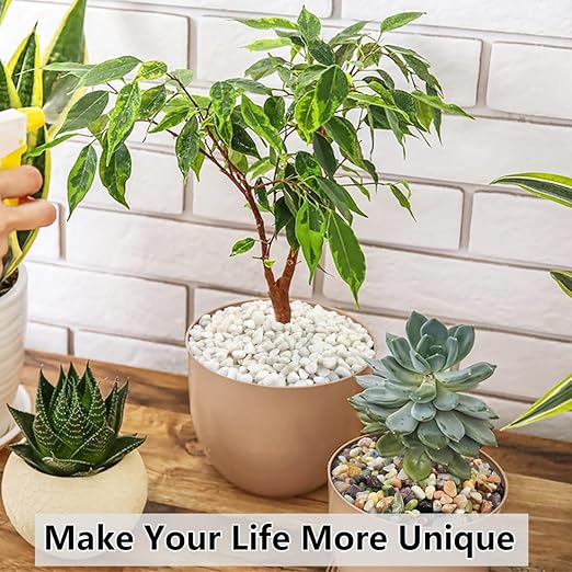 2LB Succulent and Cactus Black Pebbles, 3/8 Inch Natural Decorative Polished Stones, River Rocks for Indoor Plants, Vases, Planters and Outdoor Gardening
