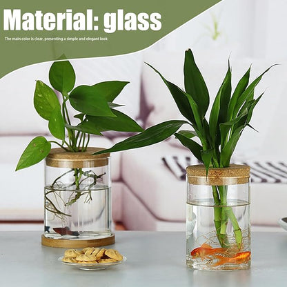3Pcs Plant Propagation Station, Transparent Lidded Propagation Stations with Tray Hydroponic DIY Jars for Home Office Desktop, Straight
