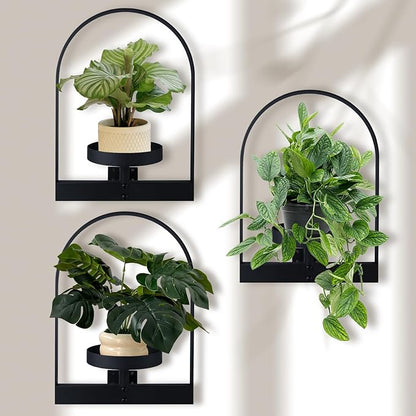 Sisher 3Pack Wall Plant Holder,Indoor Plant Wall Decor,Modern Frame Plant Stand ,Window Plant Shelves Set,Premium Metal Hanging Plant Holder