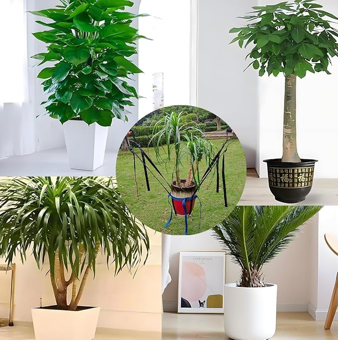 Potted Plant Mover,Essential Plant Lifting Straps for Garden Flower Pots,Planters,Trees, Rocks- Lifts Up to 250 Pounds,Easily Move Heavy Items Around Your Yard