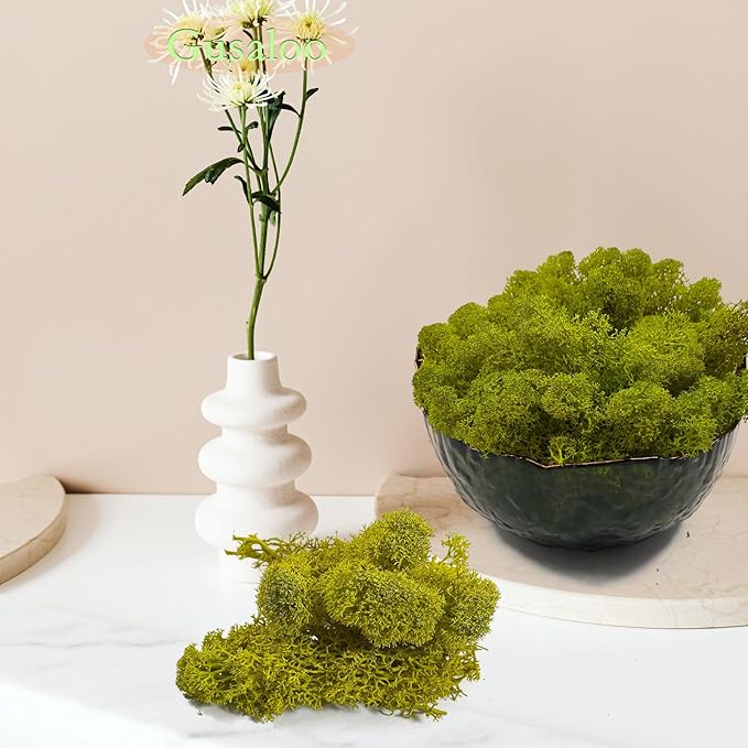 Preserved 1.1lb Moss Artificial Moss Natural Fresh Green Moss for Craft Handicraft Arts Floral Project Wall Decor Table Decor Wedding Centerpieces Garden Terrariums Decoration