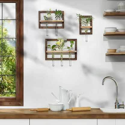 Wall Planter Propagation Stations - Hanging Glass Terrarium Tube Vase with Wood Shelf for Indoor Plants Cutting - Rustic Wall Decor for Farmhouse
