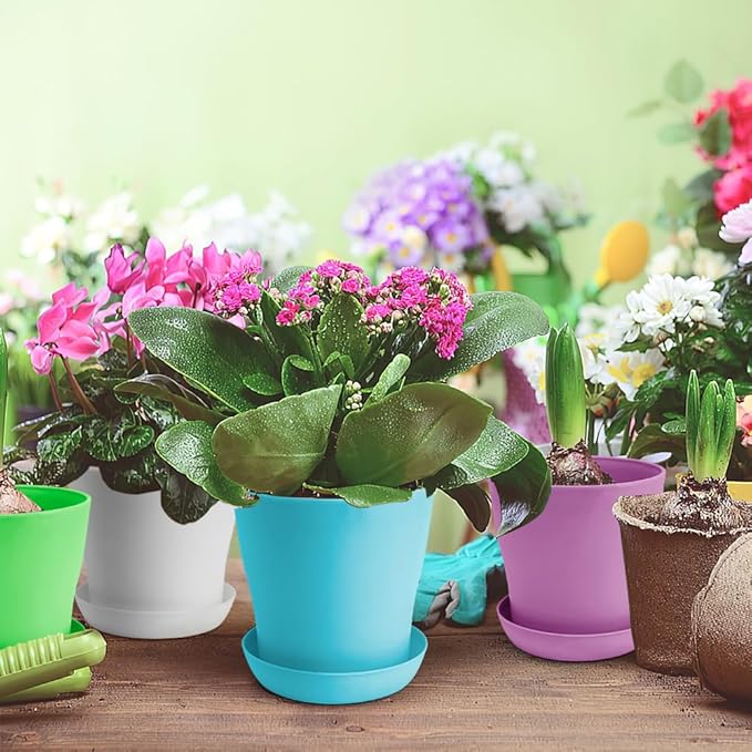 OALCQ 4 inch Plant Pots - 10 Pcs Small Flower Pots for Indoor Succulents & Herbs - Cute Plastic Pots in 5 Colors