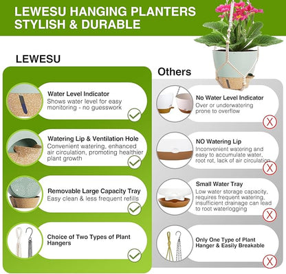 Set of 2 Hanging Planters for Indoor Plants with Self Watering Includes Hanging Pots and 2 Types Plant Hangers, Outdoor Hanging Baskets Holder for Home Garden, 10 Inch Sage Green