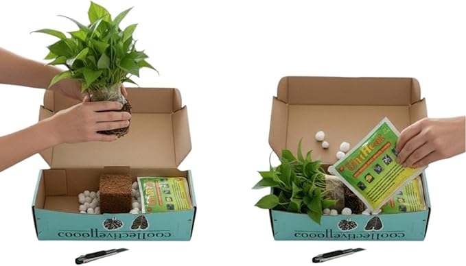 Pothos Satin – Live Plant in 4″ Grower’s Pot, Easy to Grow Low Maintenance Indoor Houseplant, Live Indoor, Includes UniHeat Pack for Winter Protection