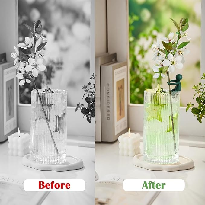 6pcs Plant Propagation Buddy, Propagated Plant Holders,Plant Stem Support,Plant Support for Shoots,Cuttings,Sprouts of Plant Propagation Station & Indoor Garden,Gifts for Plant Lovers