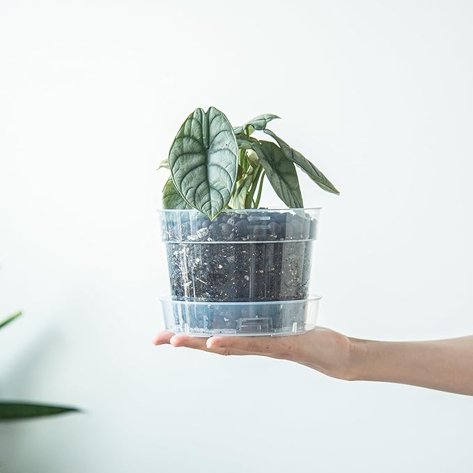 6 Inch Clear Plastic Plant Pot with Drainage Holes, Interlocking & Detachable Tray - Deep Saucer - Durable BPA-Free Plastic, Transparent Design, Raised Base for Airflow, Set of 24, 92-X-C-4