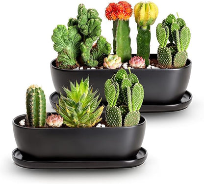 E-liu Ceramic Plant Pots, 11+14 inch, Set of 2, Planters with Drainage Holes Saucers and Mesh Pads, Indoor Flower Succulent Pot with Hole Mesh Pad, Gifts for Mom, Plants Not Included, Black