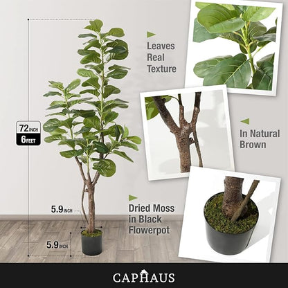 CAPHAUS Artificial Fiddle Leaf Fig Tree, 6/7 Feet in Pot with Dried Moss, for Indoor House Home Office Store, Potted Ficus Lyrata Faux Tree, Fake Plant Modern Decoration Gift for Housewarming