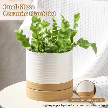 HASENSE Ceramic Plant Pots Indoor Outdoor, 6 Inch Pot for Plants with Drainage Hole and Saucer, White Modern Flower Planter for Housewarming Gift