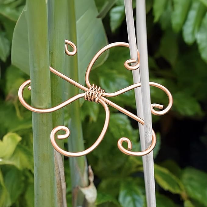 6 Pcs Plant Stem Support, Metal Monstera Plant Support Climbing Plant Stem Holder for Indoor Plant Care Stabilization and Support