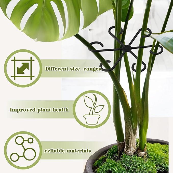 12Pcs Plant Stem Supports, Reusable Plastic Plant Accessories Indoor, Monstera Plant Support for Climbing Houseplants, Stakes Trellis Stem Hook Growth Tools for Neat Garden Arrangement(Black)