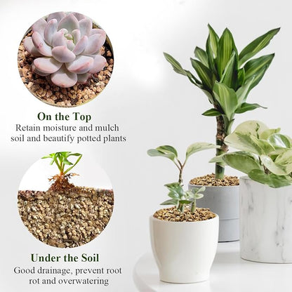 2 lbs Maifanitum Stones for Succulent,1/4 Inch Decorative Rocks for Indoor Plants, Bonsai, Soil Cover. Small Stone of Lightweight for Promote Soil Root Growth, Water Drainage and Plant Growth