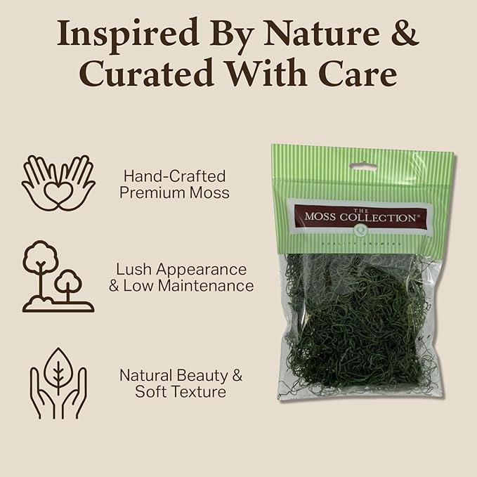 Preserved Spanish Moss - Premium Decorative Moss for Crafts, Home Décor, Art, Design & DIY Projects - Real Moss - Non-Toxic, USA-Made (Forest Green, Small, 2-Pack)