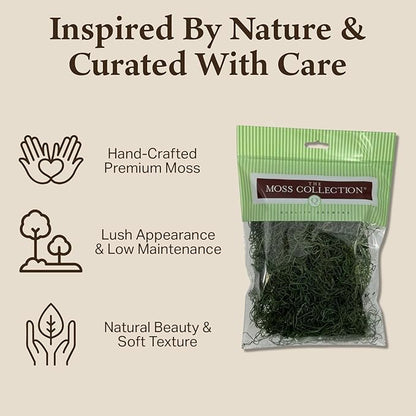 Preserved Spanish Moss - Premium Decorative Moss for Crafts, Home Décor, Art, Design & DIY Projects - Real Moss - Non-Toxic, USA-Made (Forest Green, Small, 2-Pack)