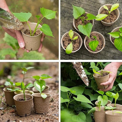 130 Pcs 3.15 Inch Organic Peat Pots with Drainage Holes - Biodegradable Seed Starter Pots for Seedlings, Plants & Garden Germination - Includes 130 Planting Labels