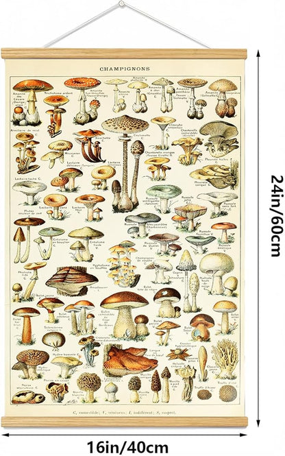 Vintage Flowers Poster Hanger Frame, Plant Floral Reference Chart Wall Decor Cottagecore Room Decor Aesthetic, Retro Style Wall Decor Art Painting Prints. (mushroom A, 24L x 16W)