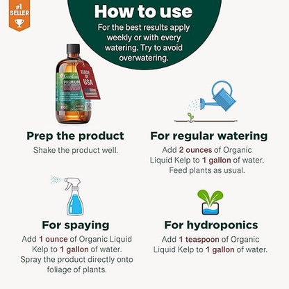 GARDENERA Premium Organic Seaweed & Kelp Superfood for Money Tree Plants - 32 oz - Liquid Kelp Fertilizer Concentrate (Makes 180 Gallons)