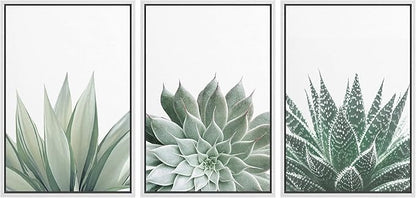 Ashbrook Framed Canvas Print Wall Art Set Green Desert Cactus Succulent Variety Nature Wilderness Photography Modern Art Minimal Chic Colorful for Living Room, Bedroom, Office - 24"x36"x3 White