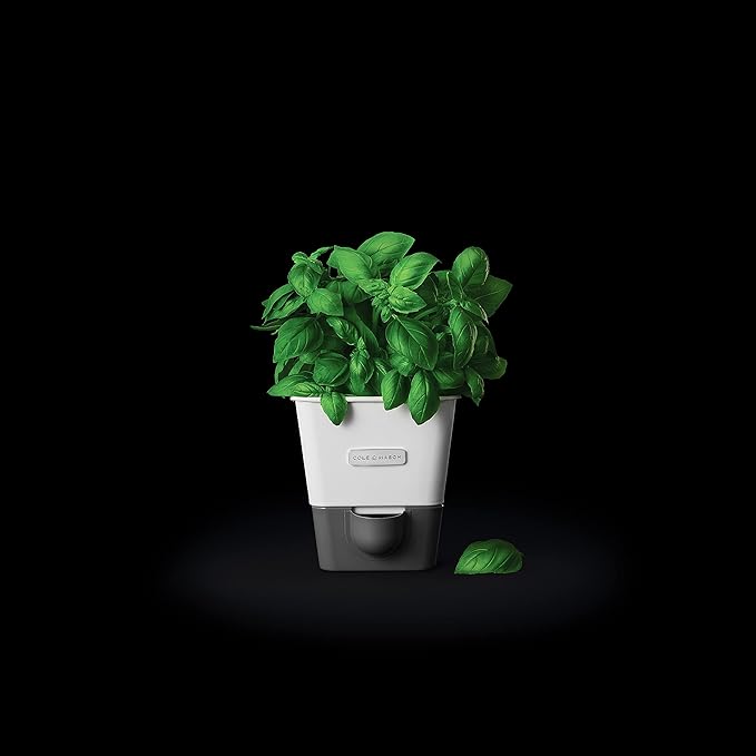 Cole & Mason Self-Watering Single Potted Herb Keeper, Indoor Herb Box, 21 cm, White/Grey, Self Watering, Includes 4 x Pads
