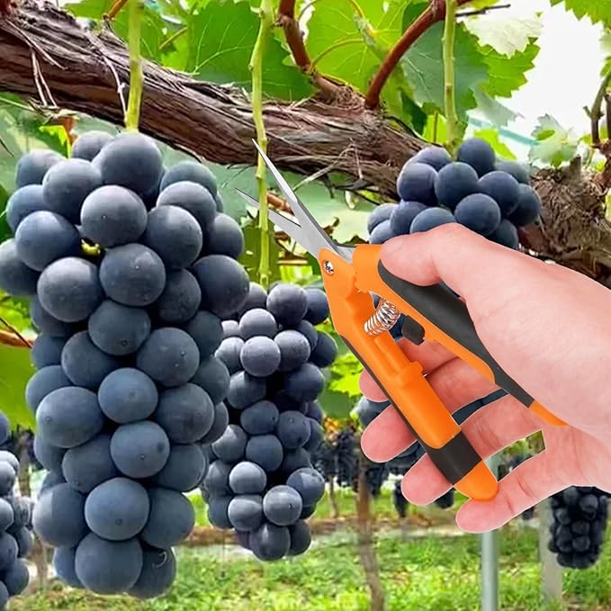 15 Pack 6.5 Inch Orange Garden Pruning Scissors, Stainless Steel Blades Hand Pruner, Sharp Point Gardening Shears Cutter, A Must-have Gardening Pruning Shear, Supplies & Accessories