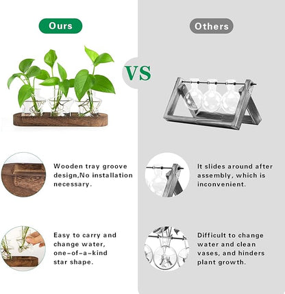 Plant Propagation Stations, Plant Lover Gift, Star Shaped Glass Vase with Wooden Stand for Propagating Hydroponic Home Office Garden Decor