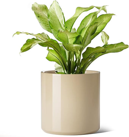 LE TAUCI 12 Inch Pot for Plants, Ceramic Planters for Indoor Plants, Mid-Century Modern Cylinder Flower Pots with Drainage Hole, Fits Fiddle Leaf Fig & Monstera, Home Decor, Sand Beige