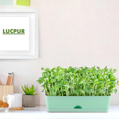 6-Pack Large Window Boxes Planters 16 Inch Rectangle Plant Box Rectangular Plant Pots for Outdoor and Indoor Plants Plastic Windowsill Planter for Herbs Vegetable Flowers Long Window Sill Planters