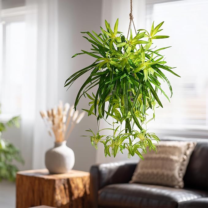 2 Pcs Artificial Spider Hanging Plant Artificial Bracketplant Chlorophytum Fake Greenery for Outdoor Porch Patio Window Shelf Office Garden Home Decor (Gold)