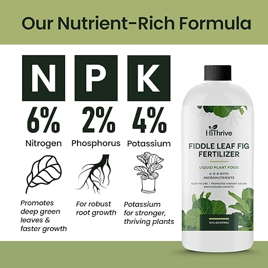 16oz Fiddle Leaf Fig Plant Food - Makes 96 Gallons of Fertilizer, Liquid Houseplant Fertilizer for Ficus Plants, Ideal Fiddle Leaf Fertilizer, 6-2-4 NPK Ficus Plant Food for Strong, Healthy Growth