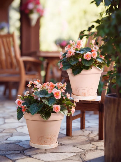 INGOFIN Terracotta Plant Pots 8 Inch Set of 2, Red White Clay Flower Pots with Drainage Holes & Tray Saucers, Breathable Garden Planters for Indoor Outdoor, Succulent, Cactus, Herbs