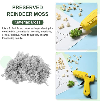 MECCANIXITY 4.6oz Preserved Reindeer Moss, Light Grey Decorative Artificial Fake Moss for Potted Plants Indoor Crafts Lichen Centerpieces Decor