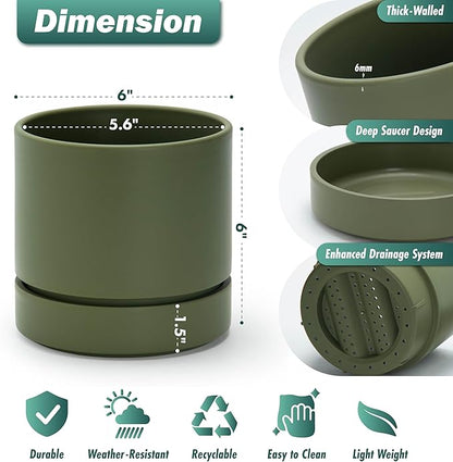Phoenix Vine 6 Inch Planter Pot with Drainage Hole & Saucer, Deep Water Catch Tray, Straight Cylindrical Round Pot for Plants, Olive, Pack of 3, 23-F-S-3