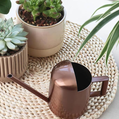 Watering Can 10oz/300ml Stainless Steel Long Spout Semi Open Powder Coated Flower Watering Pot for Garden Family Outdoor