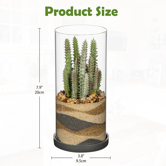 Artificial Succulent in Cylindrical Glass Vase Fake Cactus Plant with Modern Glass Terrarium for Home Decor Farmhouse Hostess Gift