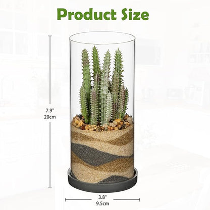 Artificial Succulent in Cylindrical Glass Vase Fake Cactus Plant with Modern Glass Terrarium for Home Decor Farmhouse Hostess Gift