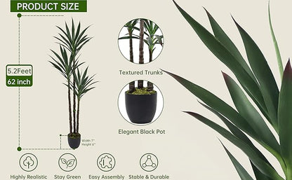 Artificial Agave Tree 5.2FT with 45 Leaves & 3 Trunks & Elegant Black Pot Lifelike Tall Large Fake Faux Modern Tree 62 Inch for Indoor Home Office Porch Store Corner Decor Housewarming Gift